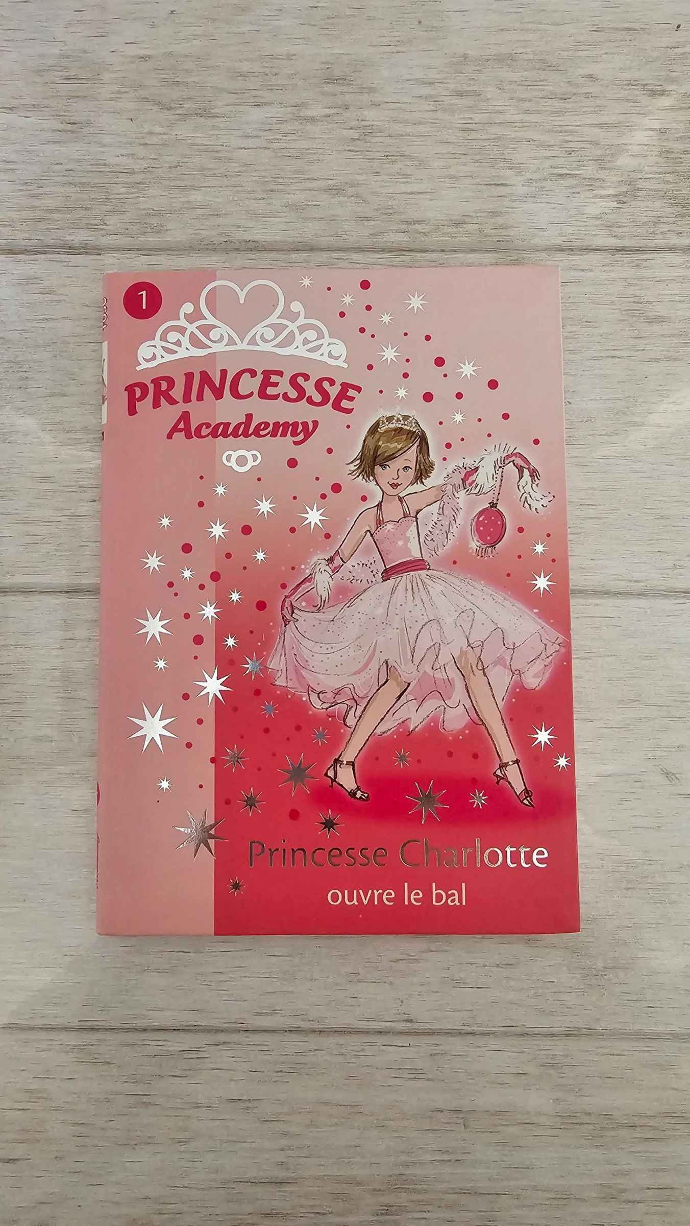 Tome 1 _ princesse acadamy